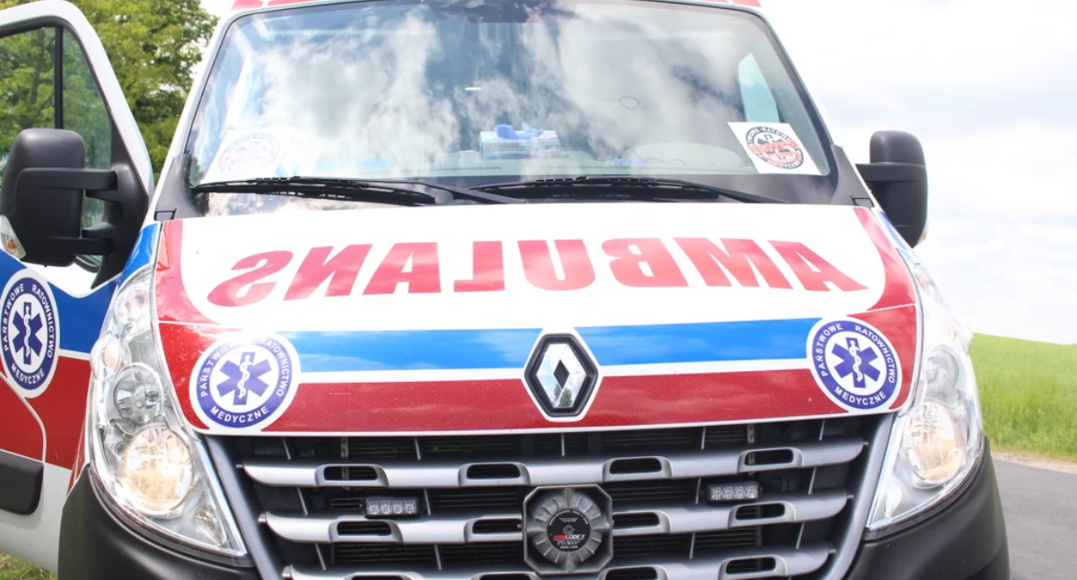 Interwencje, Poród drodze - zdjęcie, fotografia