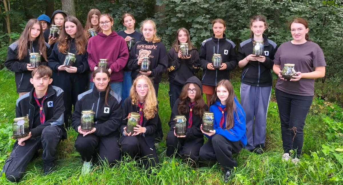 Stowarzyszenia i organizacje, Działają tylko lokalnie - zdjęcie, fotografia