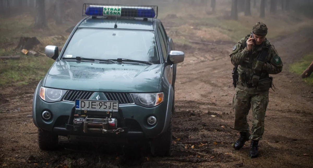 Lasy, Straż Leśna rusza jesienną akcją - zdjęcie, fotografia