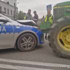 zdjęcie nr 10