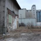 Fotka nr 5 z 7