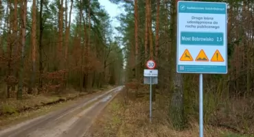 Dlaczego Lasy Państwowe pomagają budować drogi