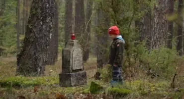 Mogiły pośród lasów