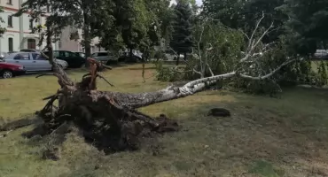 Wichura wyrządziła wiele szkód