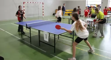 Kilkanaście zawodów w ciągu roku